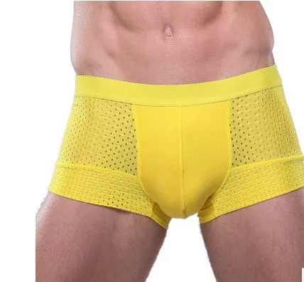 Men's U convex boxer briefs in ice silk fabric available in multiple colours