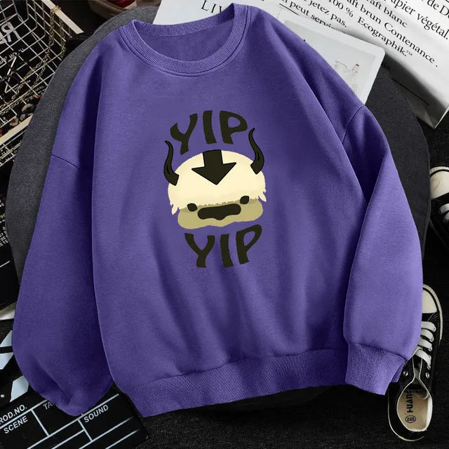 Man wearing Avatar The Last Airbender fleece sweatshirt round neck long sleeve multiple colours