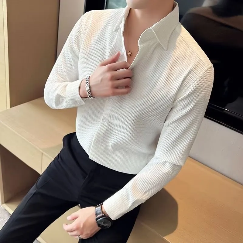 Men's long-sleeved solid colour polyester business shirt in white, black, green for spring autumn office wear