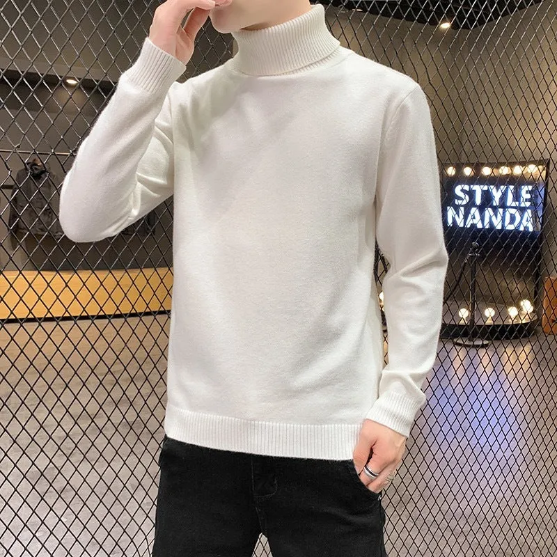 Viscose blend turtleneck sweater with plus velvet lining, slim fit, lapel collar, long sleeves, ribbed hem, available in multiple colours