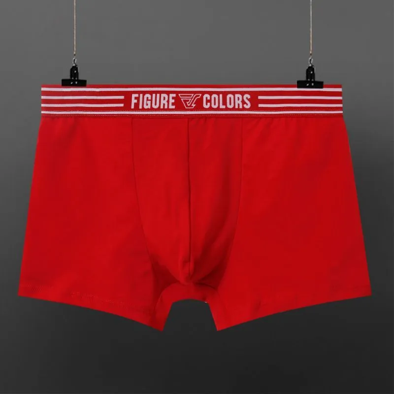 Men's cotton knitted low-waist boxers in solid colours, size range M to 3XL, nine colour options