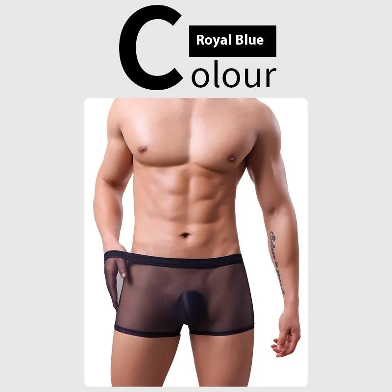 Men's low waist mesh boxer briefs in various colours on a white background.