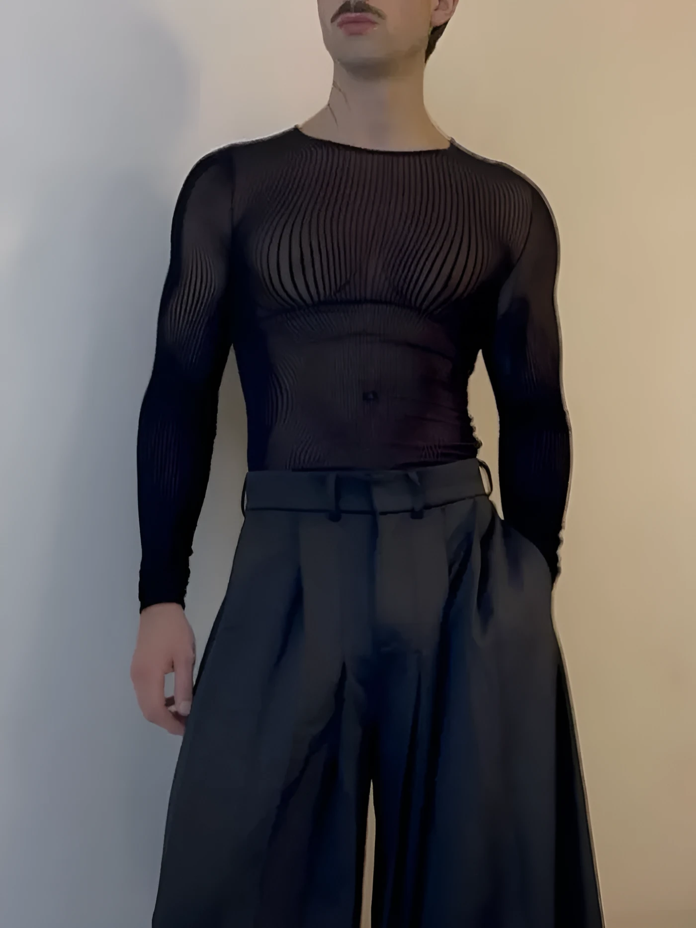 Black mesh long-sleeve top with sheer striped design on a model, regular fit, polyester fabric