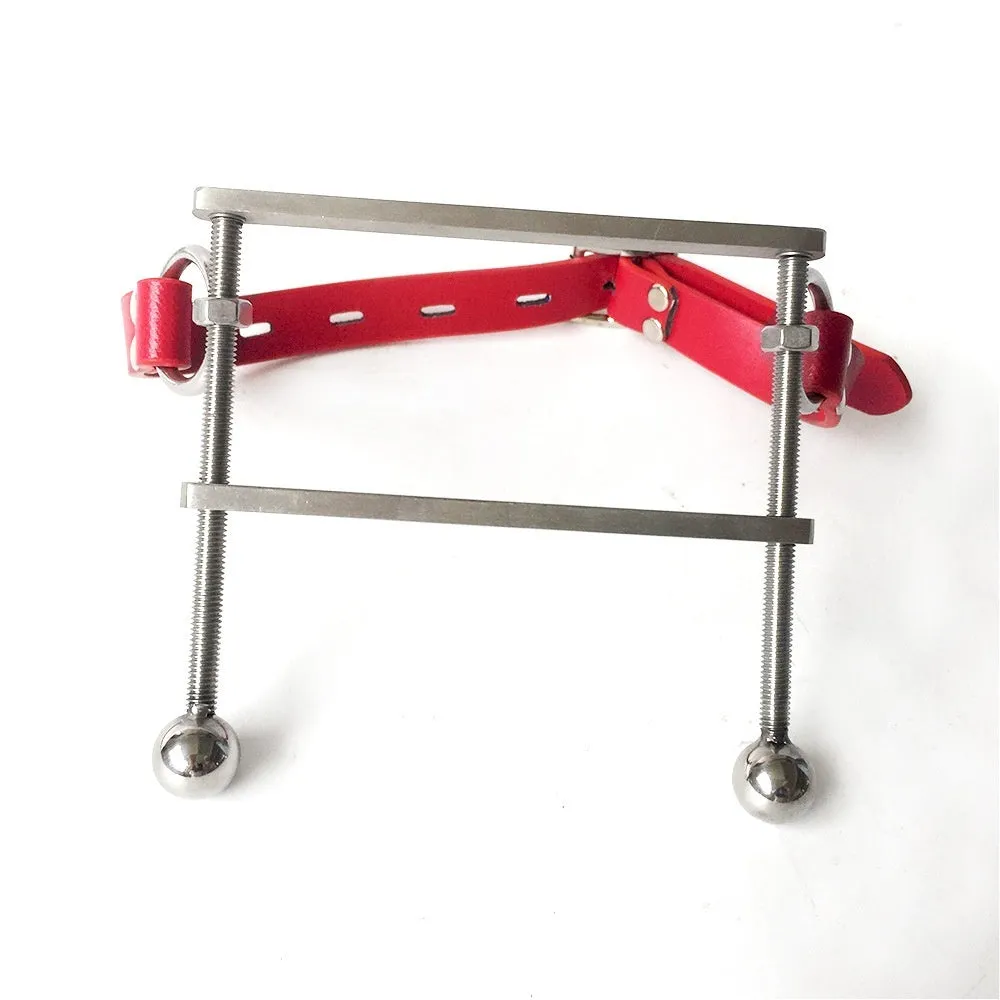 Stainless steel BDSM gag in black with metal ring and buckle straps