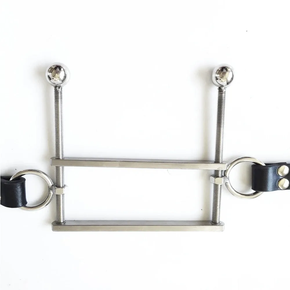 Stainless steel BDSM gag in black with metal ring and buckle straps