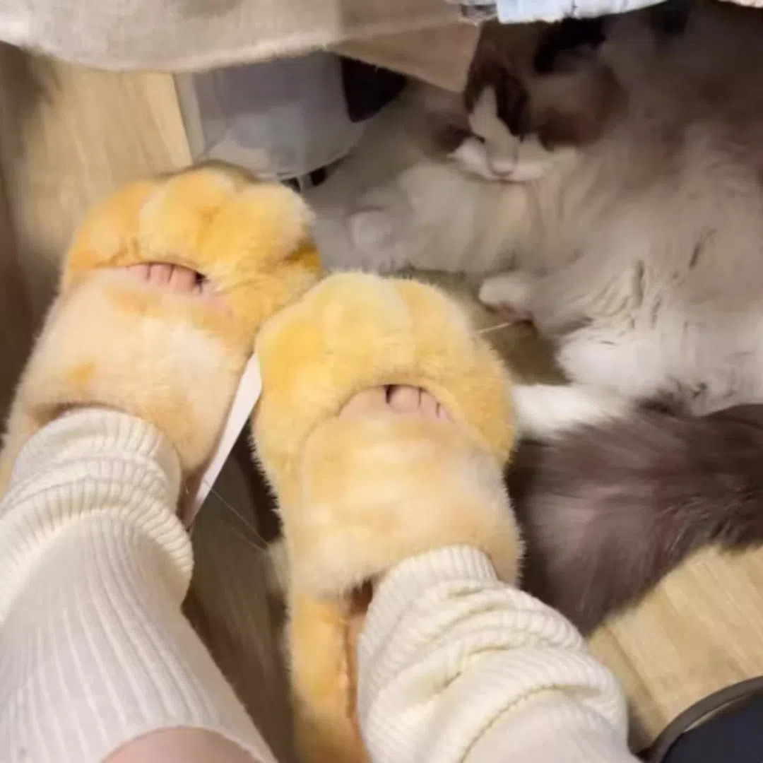 Cat paw fleece-lined slippers in yellow with non-slip sole on a floor