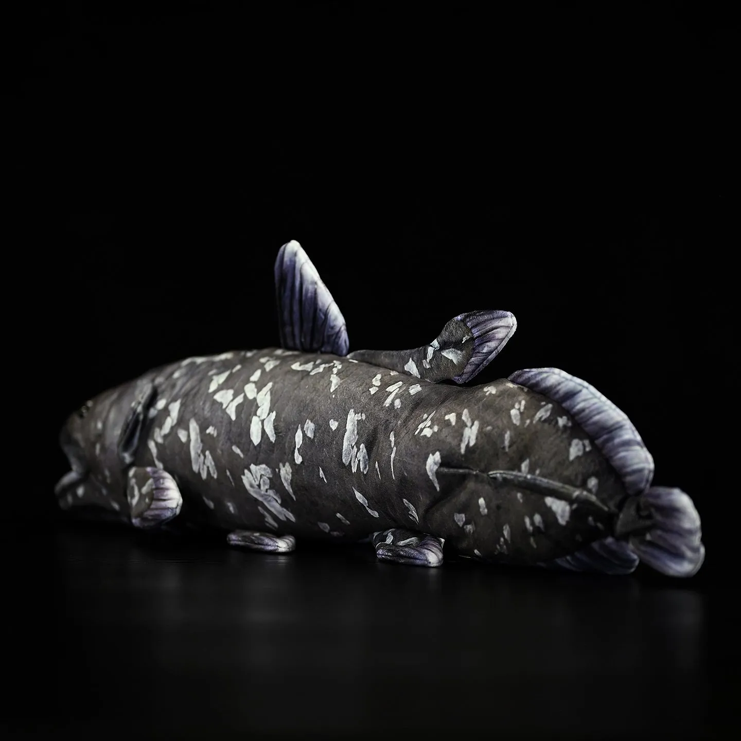 52cm printed coelacanth plush toy in black, made of soft plush and PP cotton filling