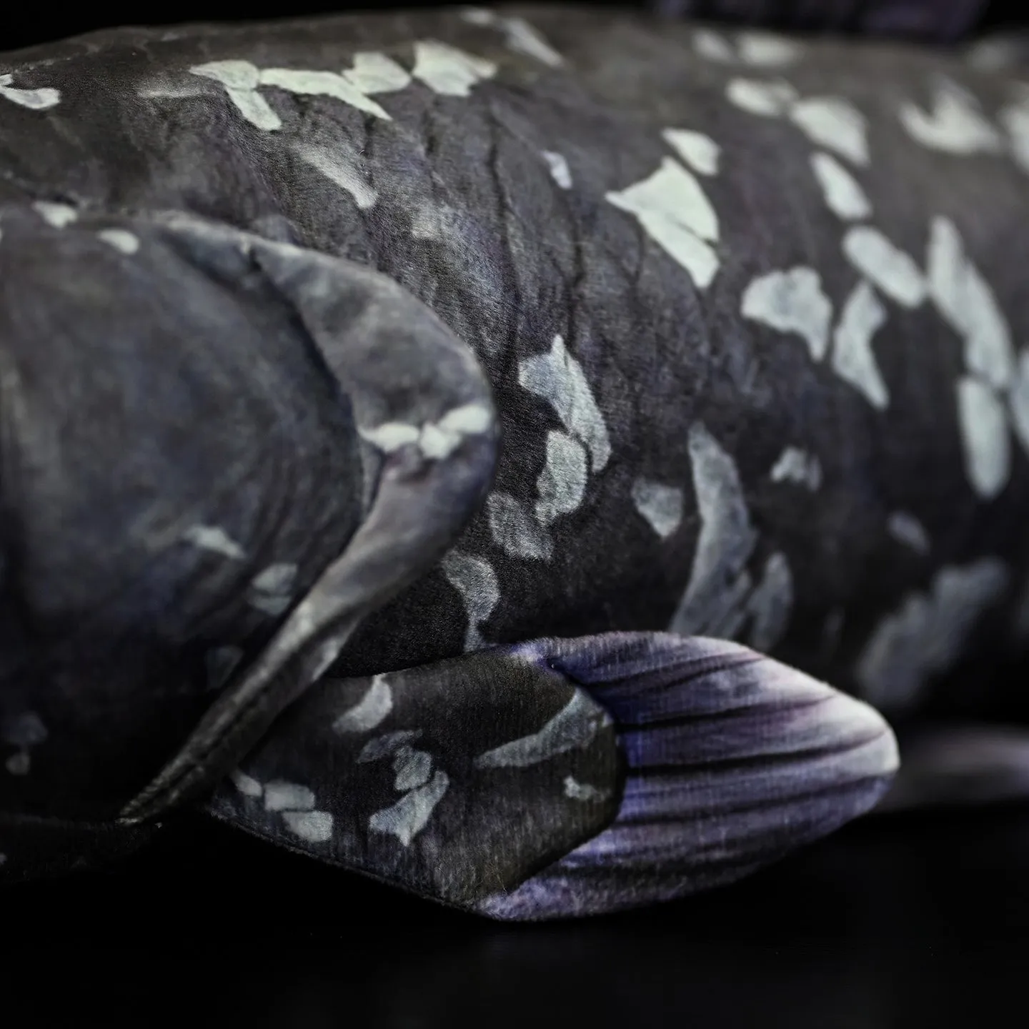 52cm printed coelacanth plush toy in black, made of soft plush and PP cotton filling