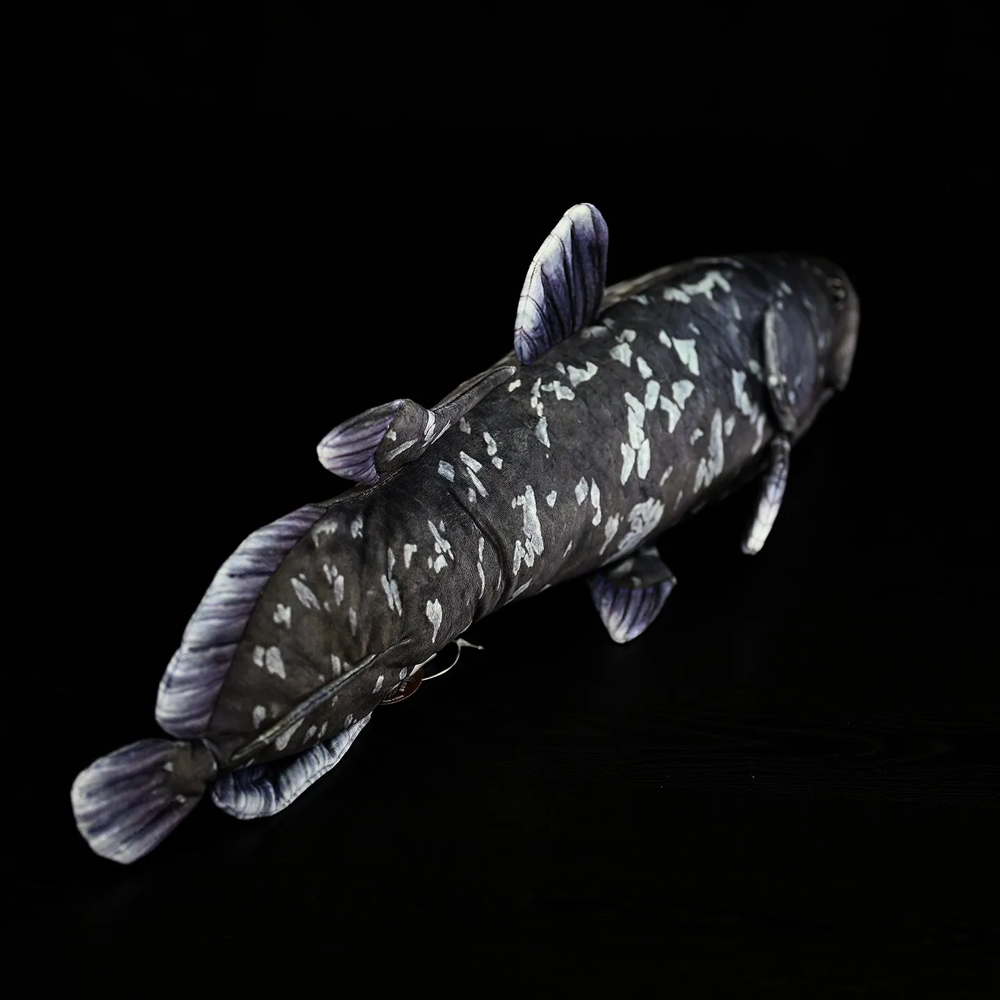 52cm printed coelacanth plush toy in black, made of soft plush and PP cotton filling