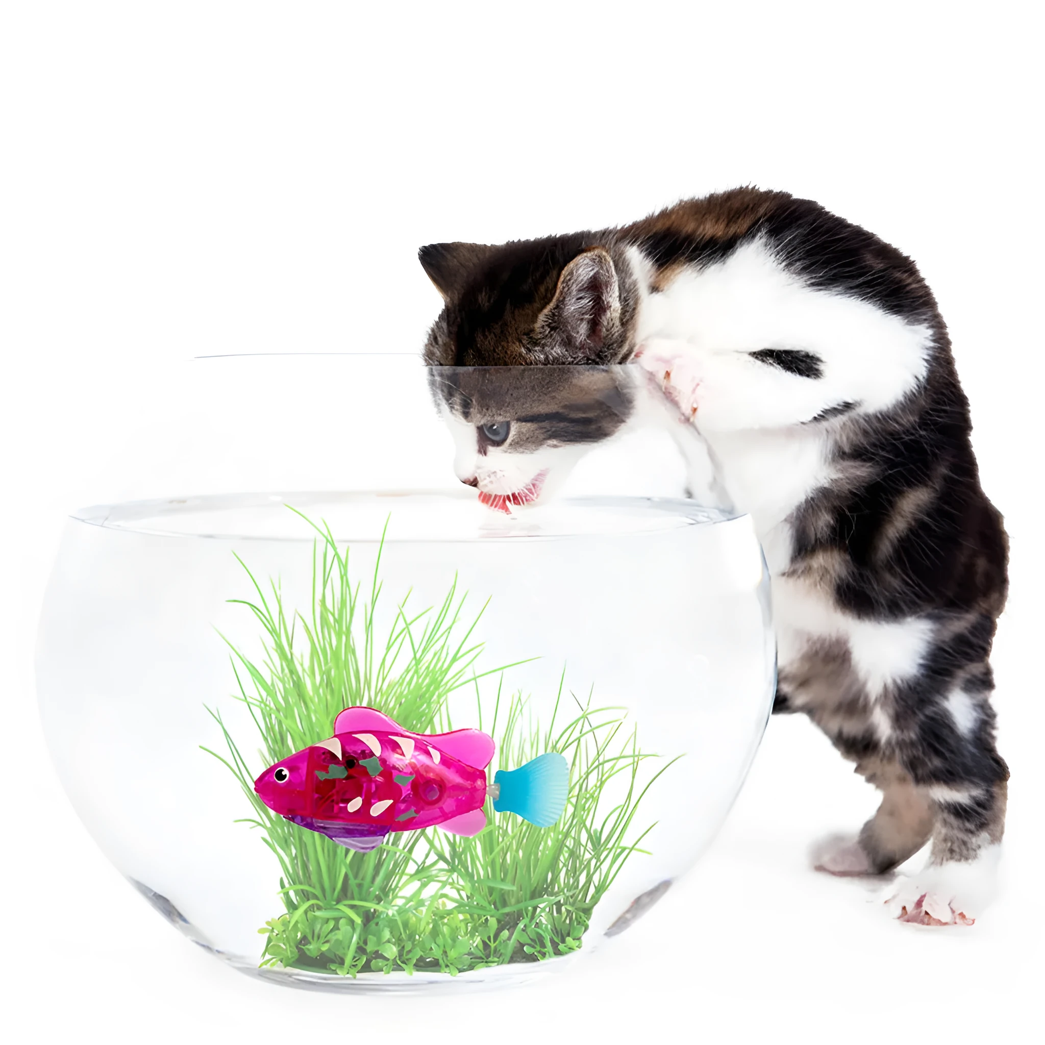 Electronic LED cat toy fish with swimming motion and light-up grass section