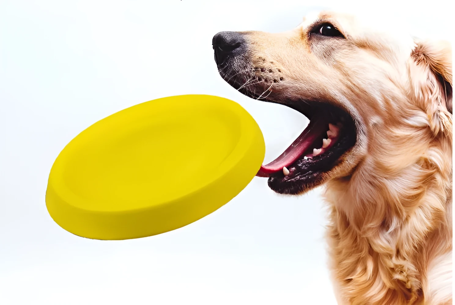 Yellow lightweight EVA dog throwing toy on grass for outdoor fetch play