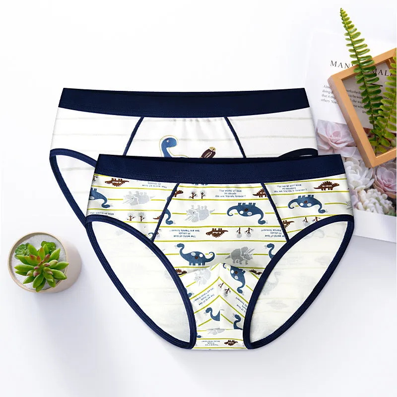 Boys cotton boxer briefs with dinosaur print, 95% cotton, available in sizes 110cm to 180cm