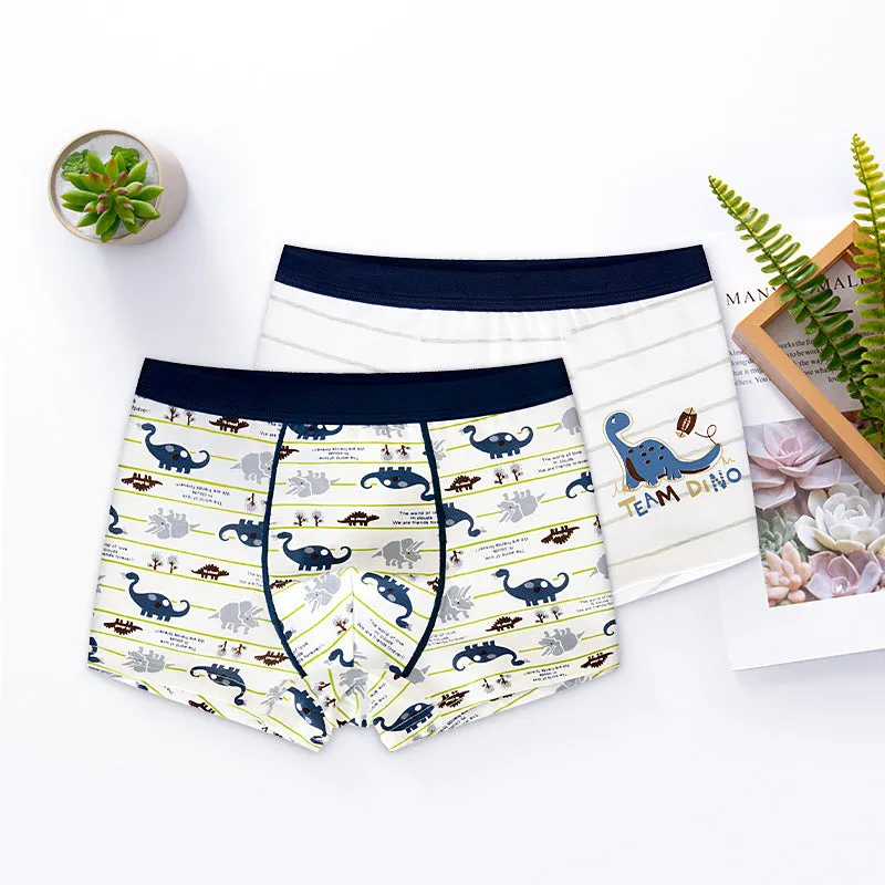 Boys cotton boxer briefs with dinosaur print, 95% cotton, available in sizes 110cm to 180cm