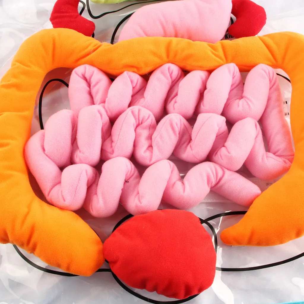 Green kids plush anatomy apron with movable body organs laid out on a table