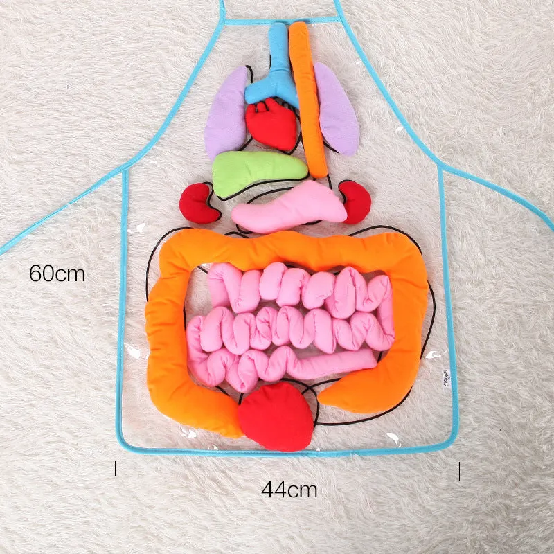 Green kids plush anatomy apron with movable body organs laid out on a table