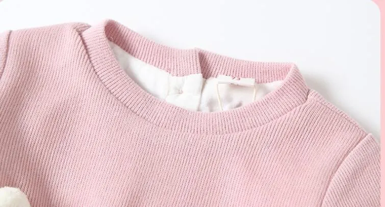Baby girl pink plus velvet dress with long sleeves and mesh detail