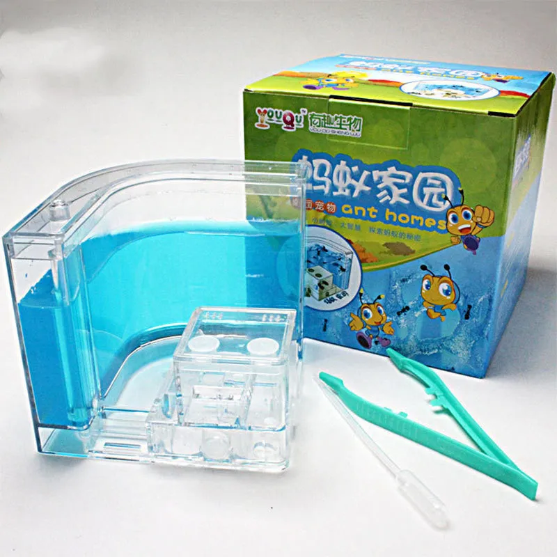 Ant Workshop Toys acrylic craft kit in six colours including blue, green, pink, purple, white, yellow packed in a colour box
