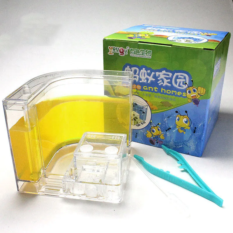 Ant Workshop Toys acrylic craft kit in six colours including blue, green, pink, purple, white, yellow packed in a colour box