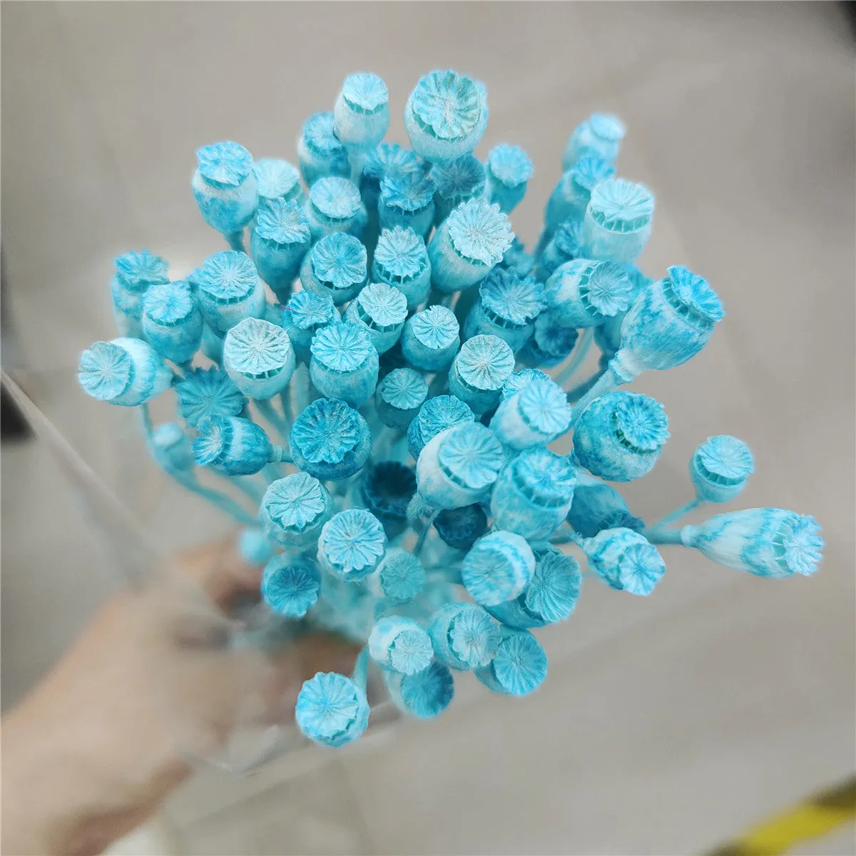 Dried flower Yu Meiren fruit DIY material bundle in multiple colours for corsage and headdress making