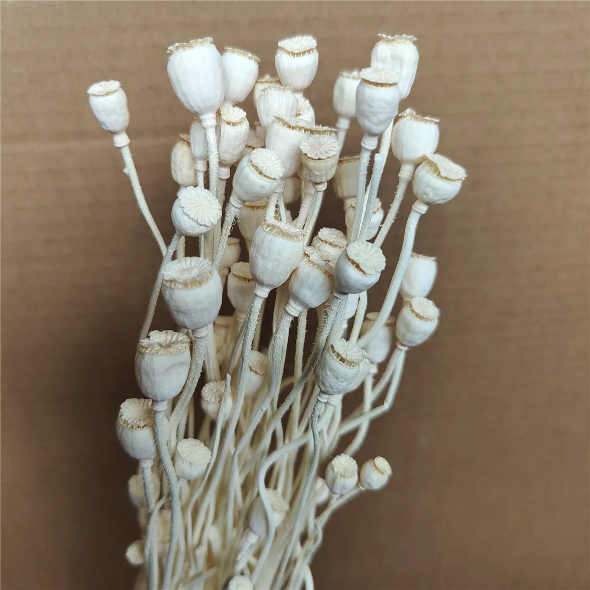 Dried flower Yu Meiren fruit DIY material bundle in multiple colours for corsage and headdress making