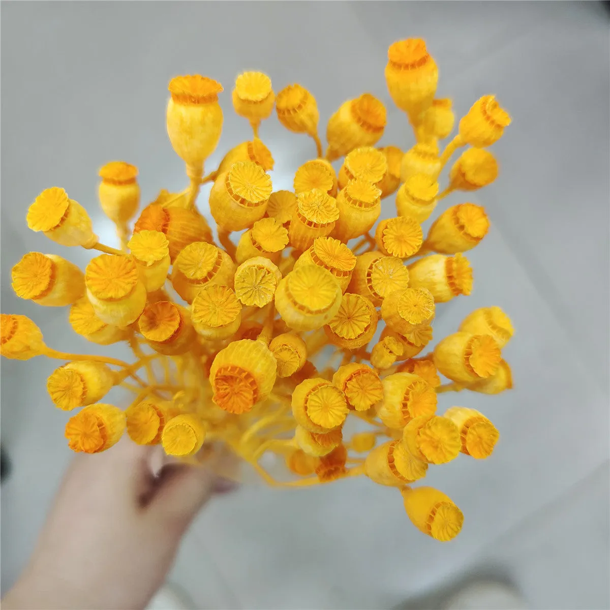 Dried flower Yu Meiren fruit DIY material bundle in multiple colours for corsage and headdress making