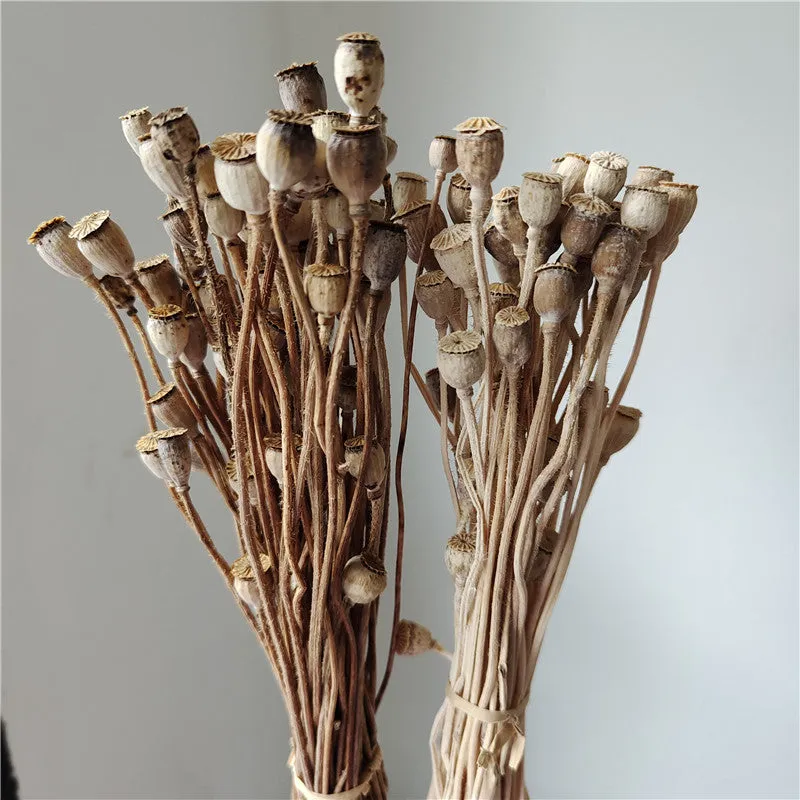 Dried flower Yu Meiren fruit DIY material bundle in multiple colours for corsage and headdress making