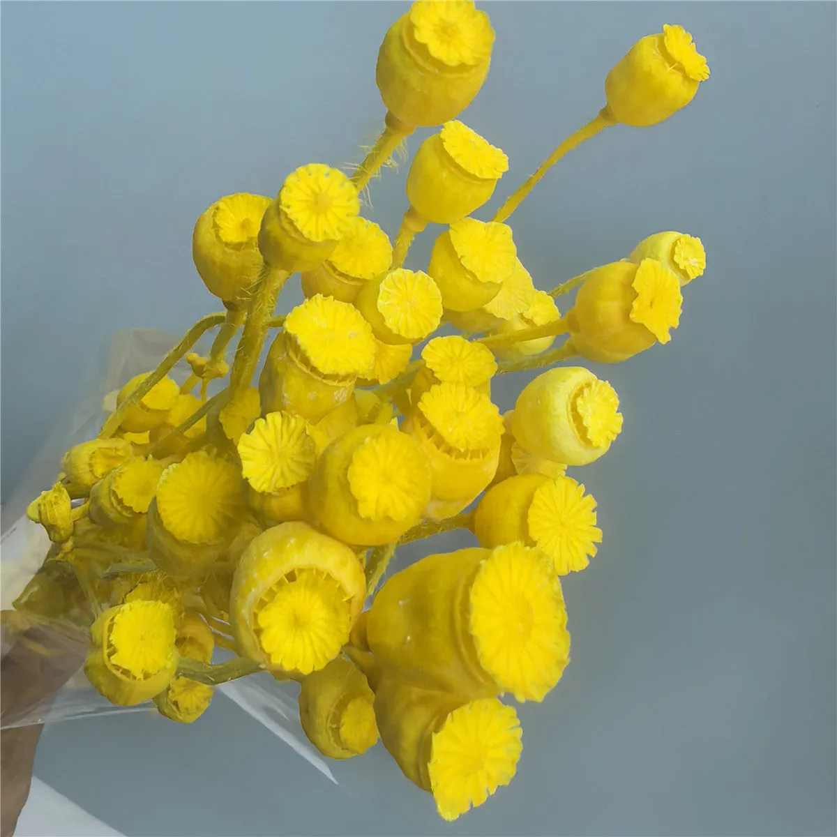 Dried flower Yu Meiren fruit DIY material bundle in multiple colours for corsage and headdress making