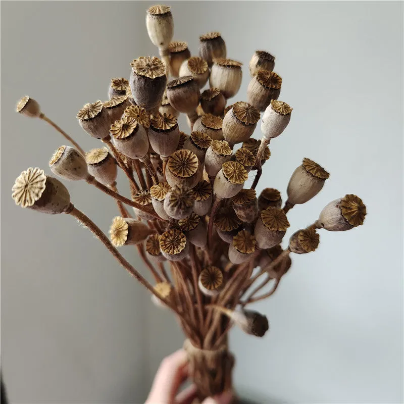 Dried flower Yu Meiren fruit DIY material bundle in multiple colours for corsage and headdress making