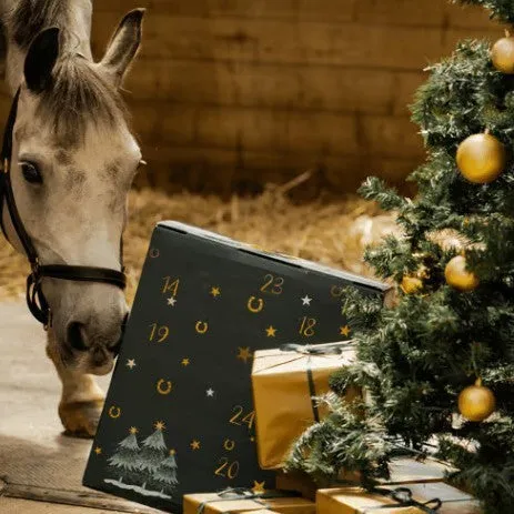 Fringe and tassel advent calendar blind box, equestrian theme, modern art style, made of PVC, gift for multiple occasions