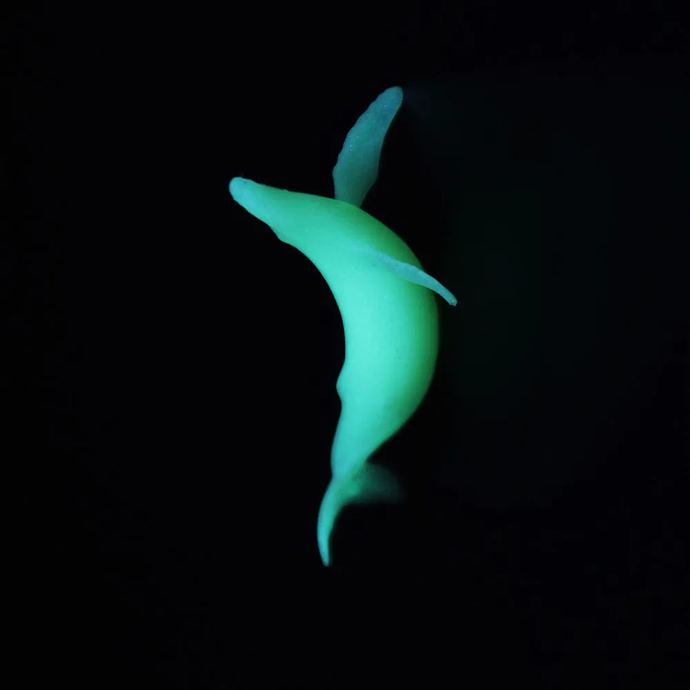 Plastic crystal glue ocean whale model luminous humpback whale figurine clear resin ornament display