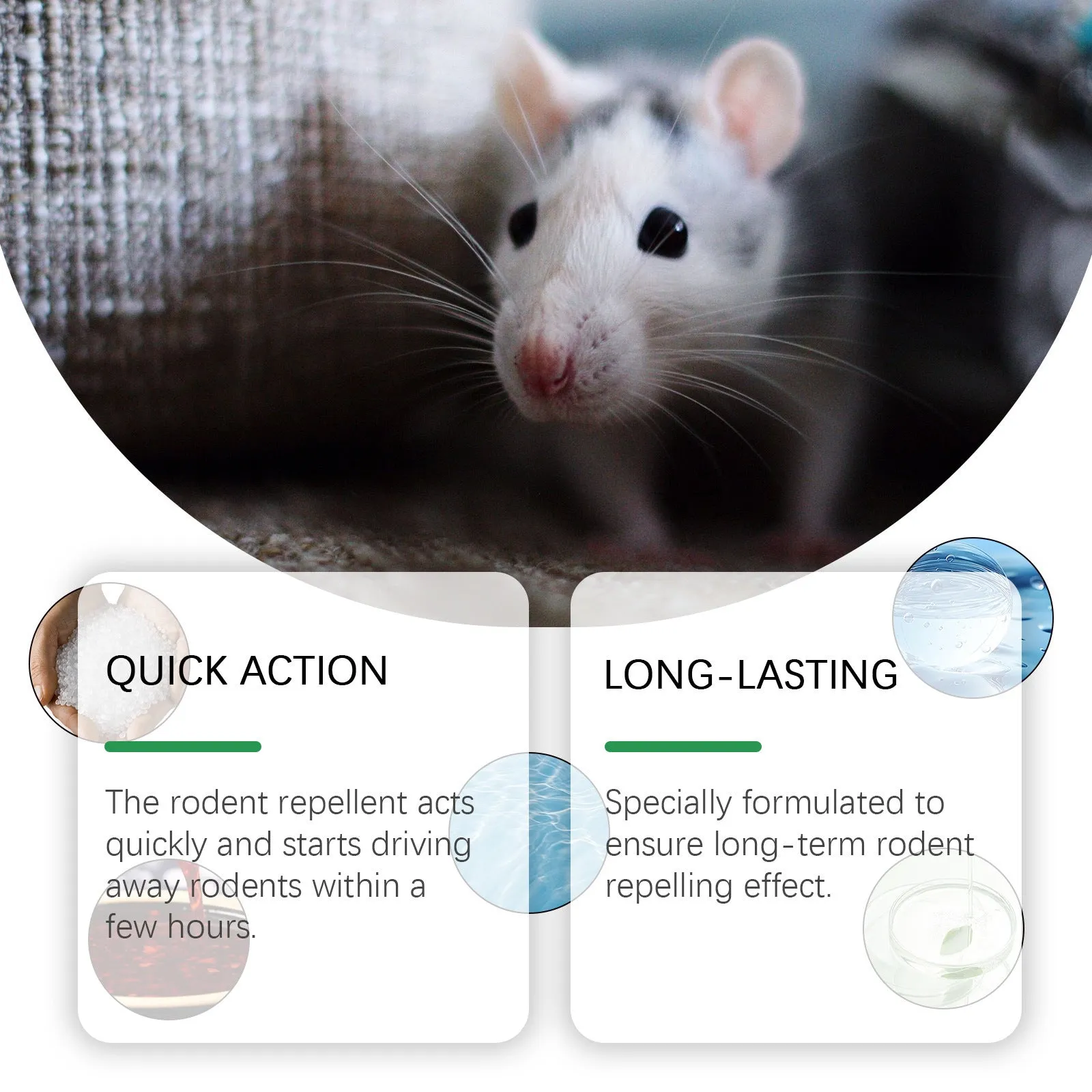 Mint-flavoured rodent repellent spray in 150ml bottle with peppermint and chilli oils