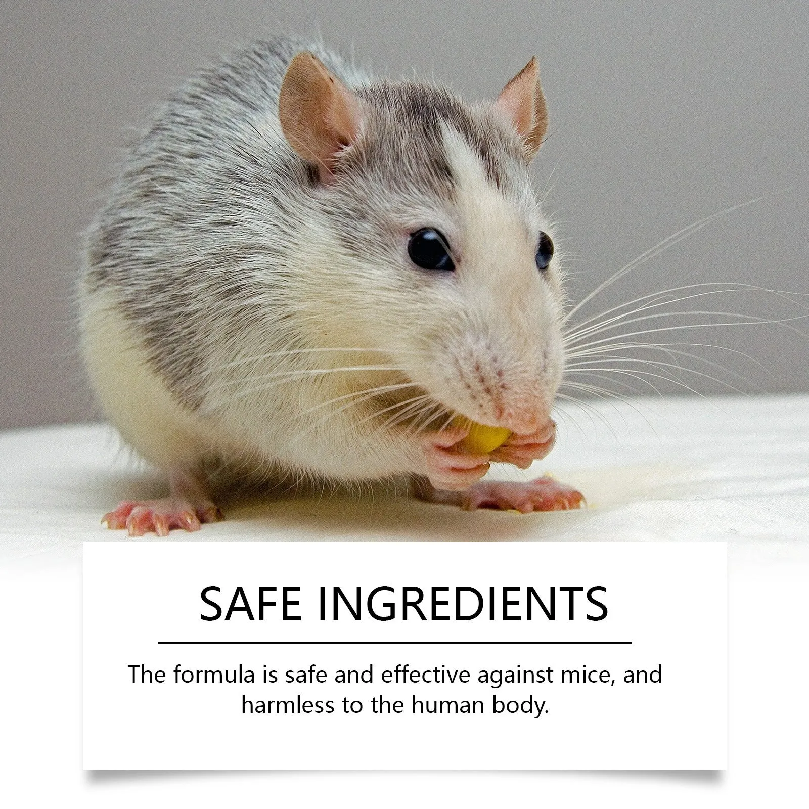 Mint-flavoured rodent repellent spray in 150ml bottle with peppermint and chilli oils