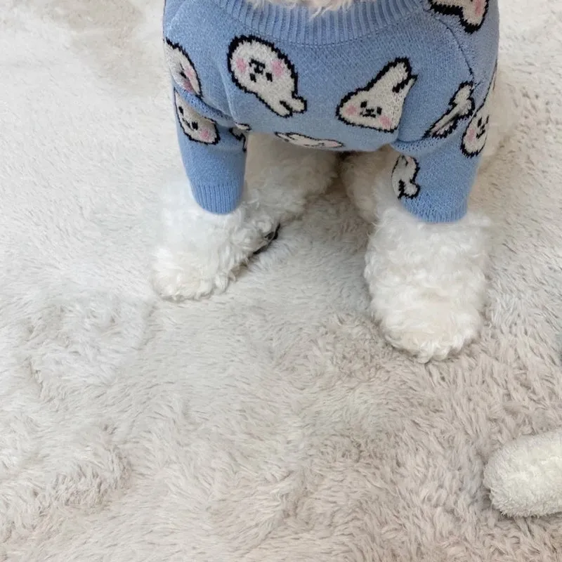 Small dog wearing a blue winter knitted sweater with charming patterns, soft polyacrylic material, side view