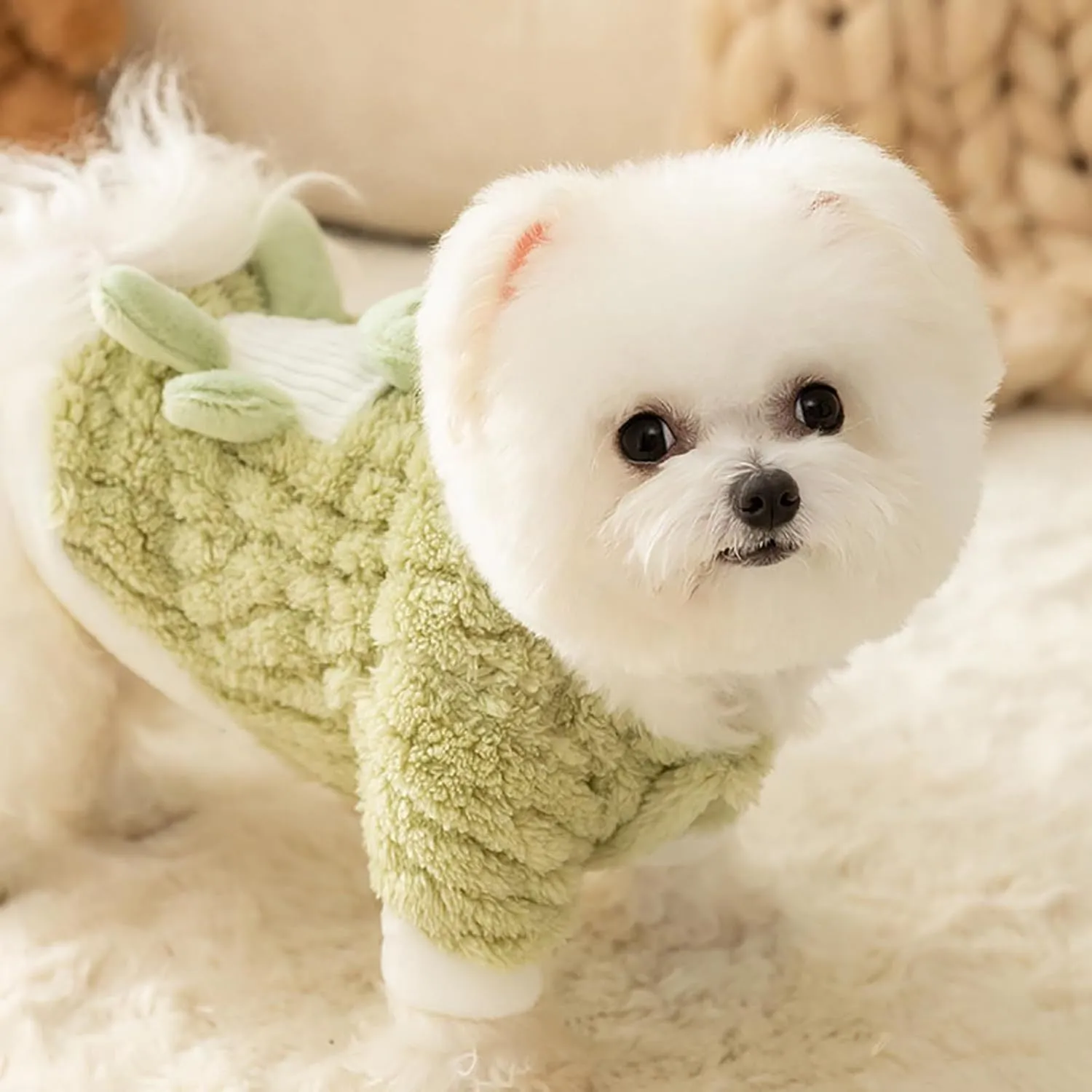 Green fluffy frog cartoon pet hoodie with 3D decal and D-ring for small medium dog cat