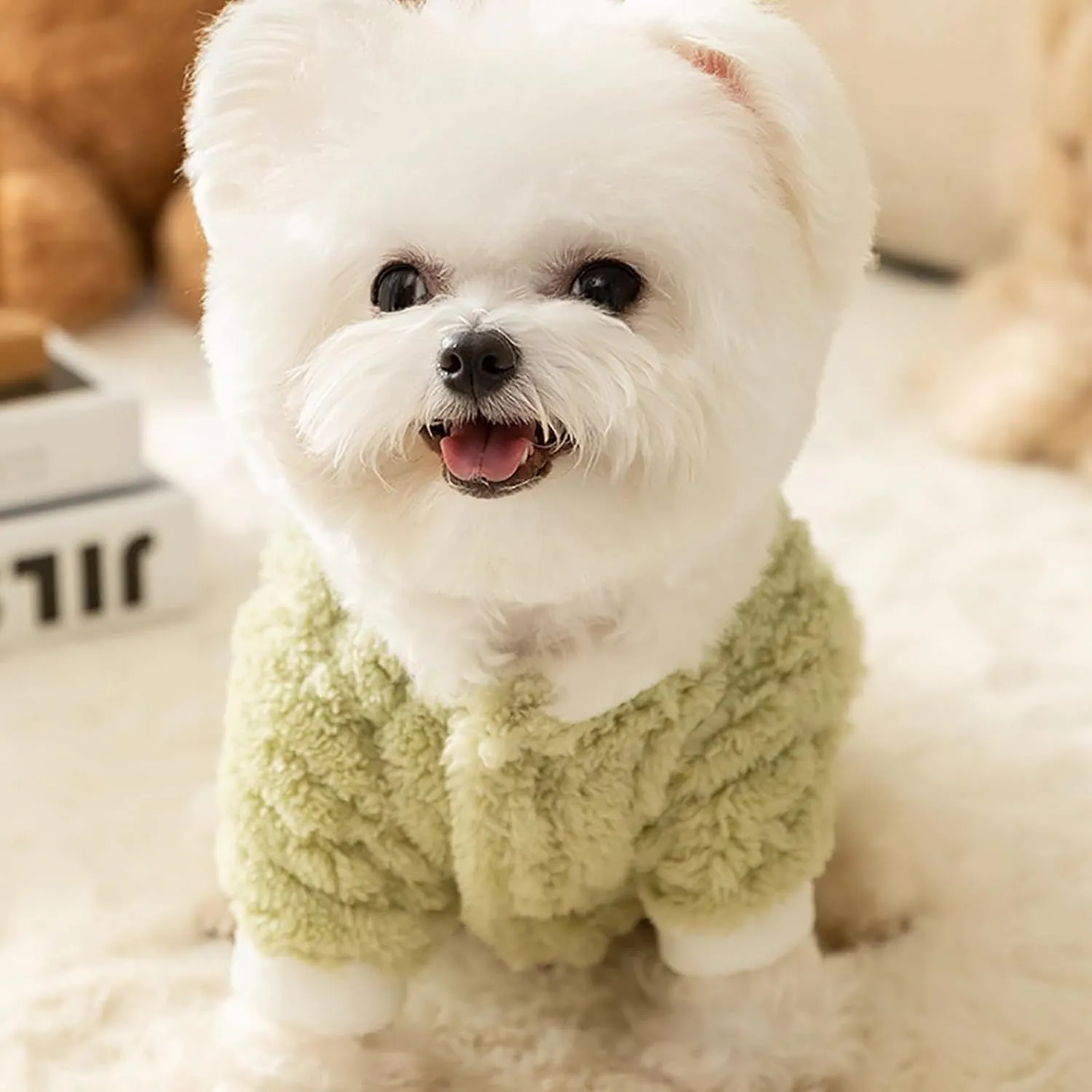 Green fluffy frog cartoon pet hoodie with 3D decal and D-ring for small medium dog cat