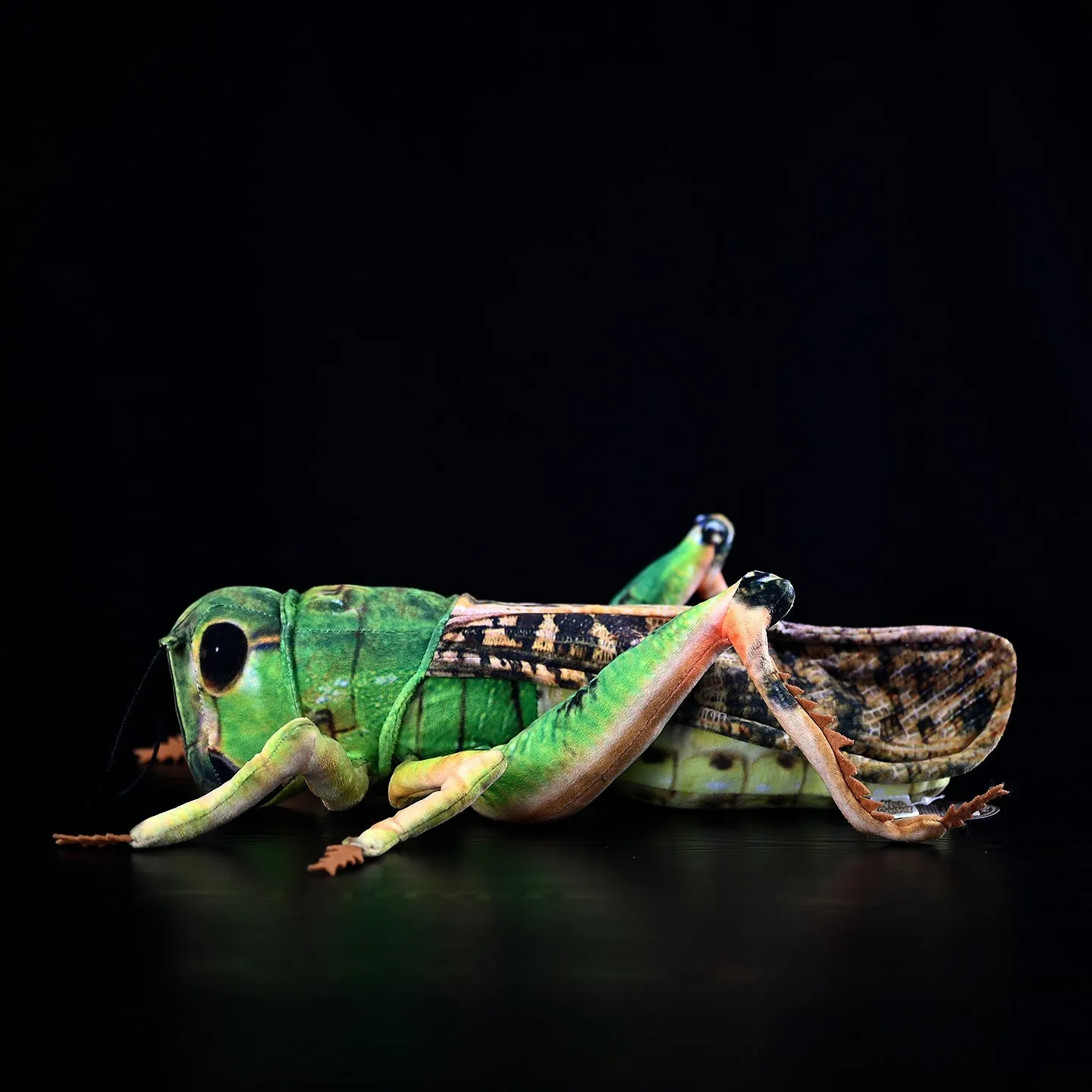 Simulation grasshopper doll plush toy 35cm flannel green insect soft toy