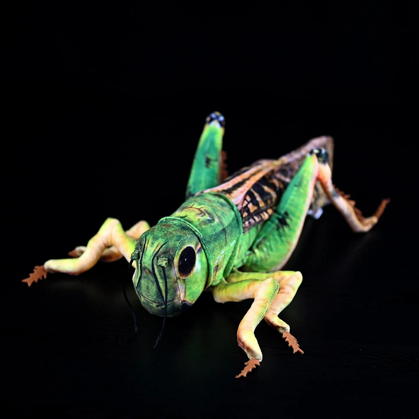 Simulation grasshopper doll plush toy 35cm flannel green insect soft toy