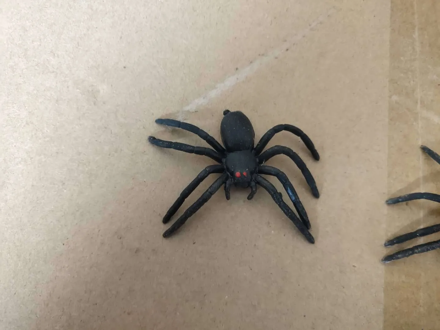 Small camellia wood trick box with spider prank for youth