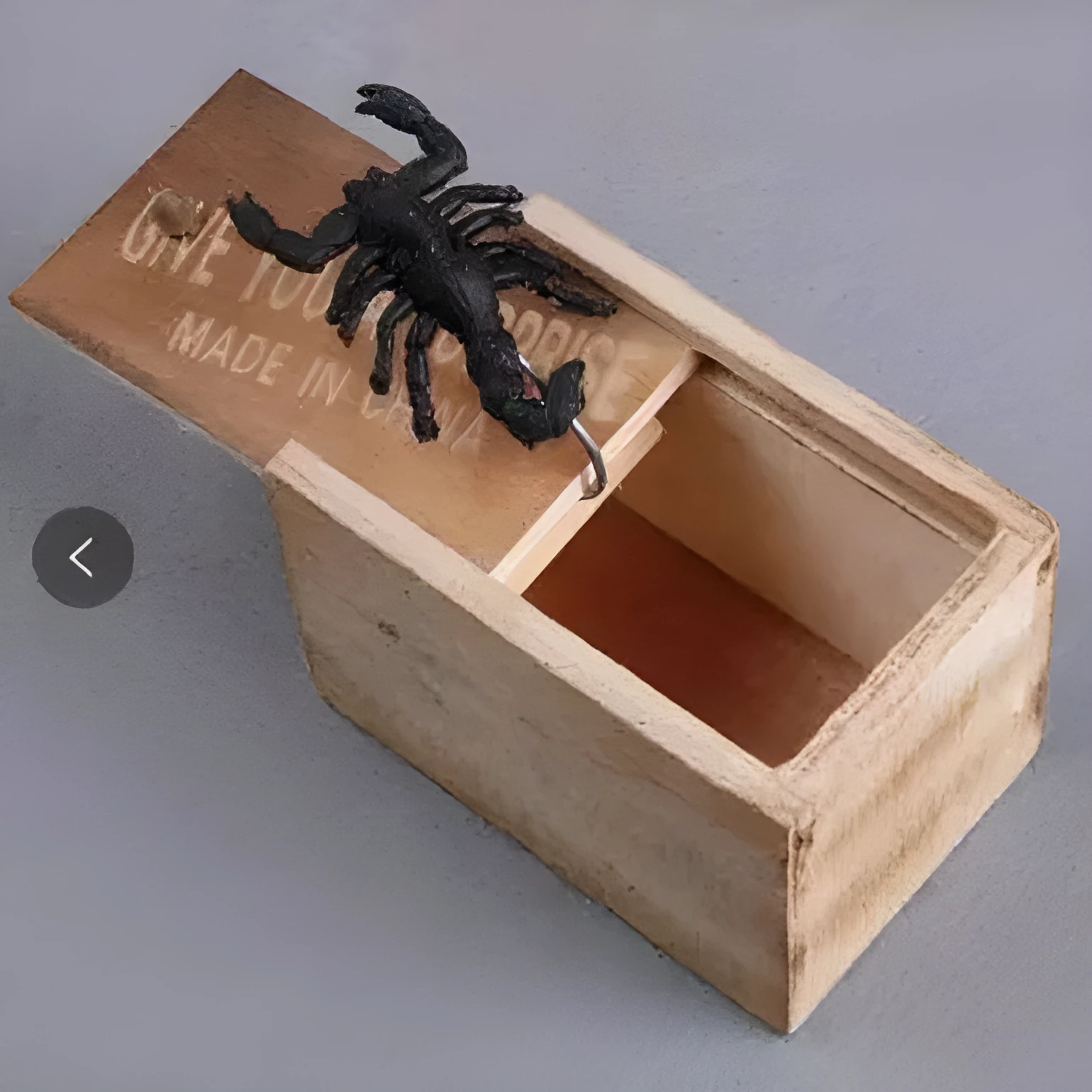 Small camellia wood trick box with spider prank for youth