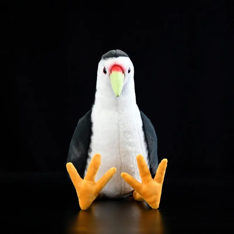 White-bellied rail plush toy 27cm polyester realistic white-faced rail doll on white background