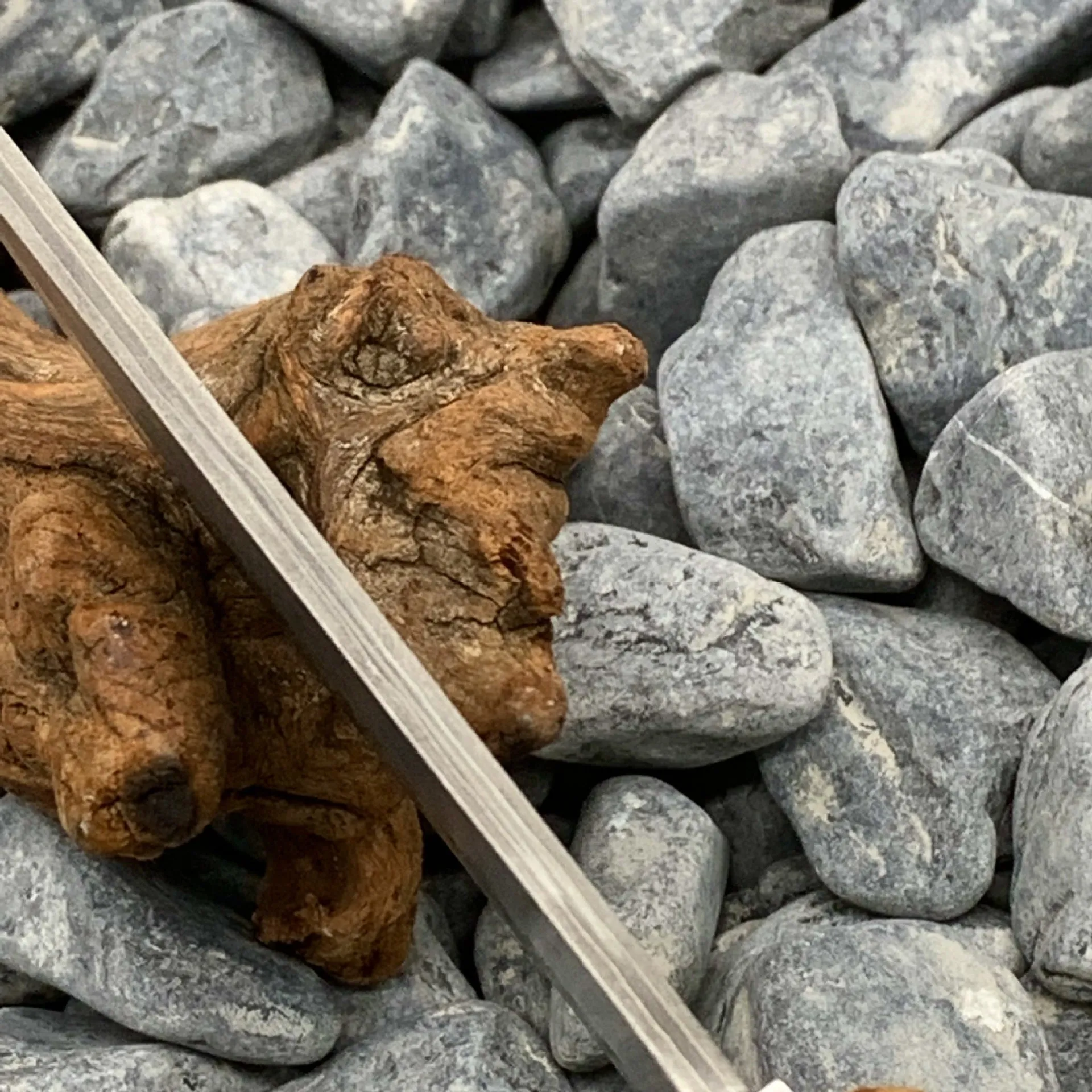 White Shadow short knife with Damascus steel blade and Thuja wood handle, showing full 18cm length.