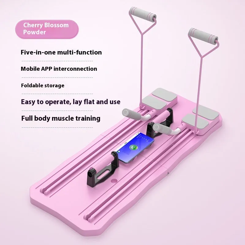Multi-functional fitness board abdominal wheel equipment in blue colour for home workouts