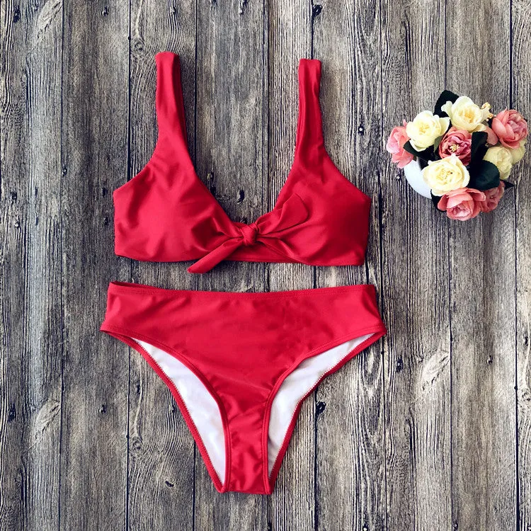 European style solid colour bikini set with bra and panties on white background