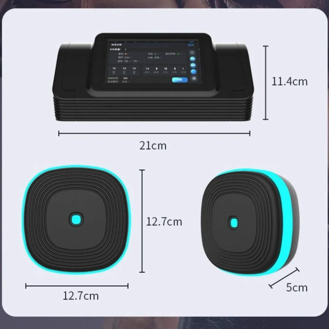 Home Smart Split Bluetooth Music Boxing Target in black with hanging design, 6 targets configuration shown
