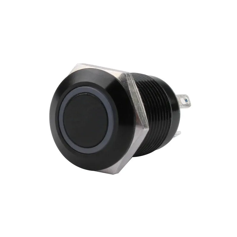 12mm metal self-reset waterproof button switch with light, silver contacts, flat head model