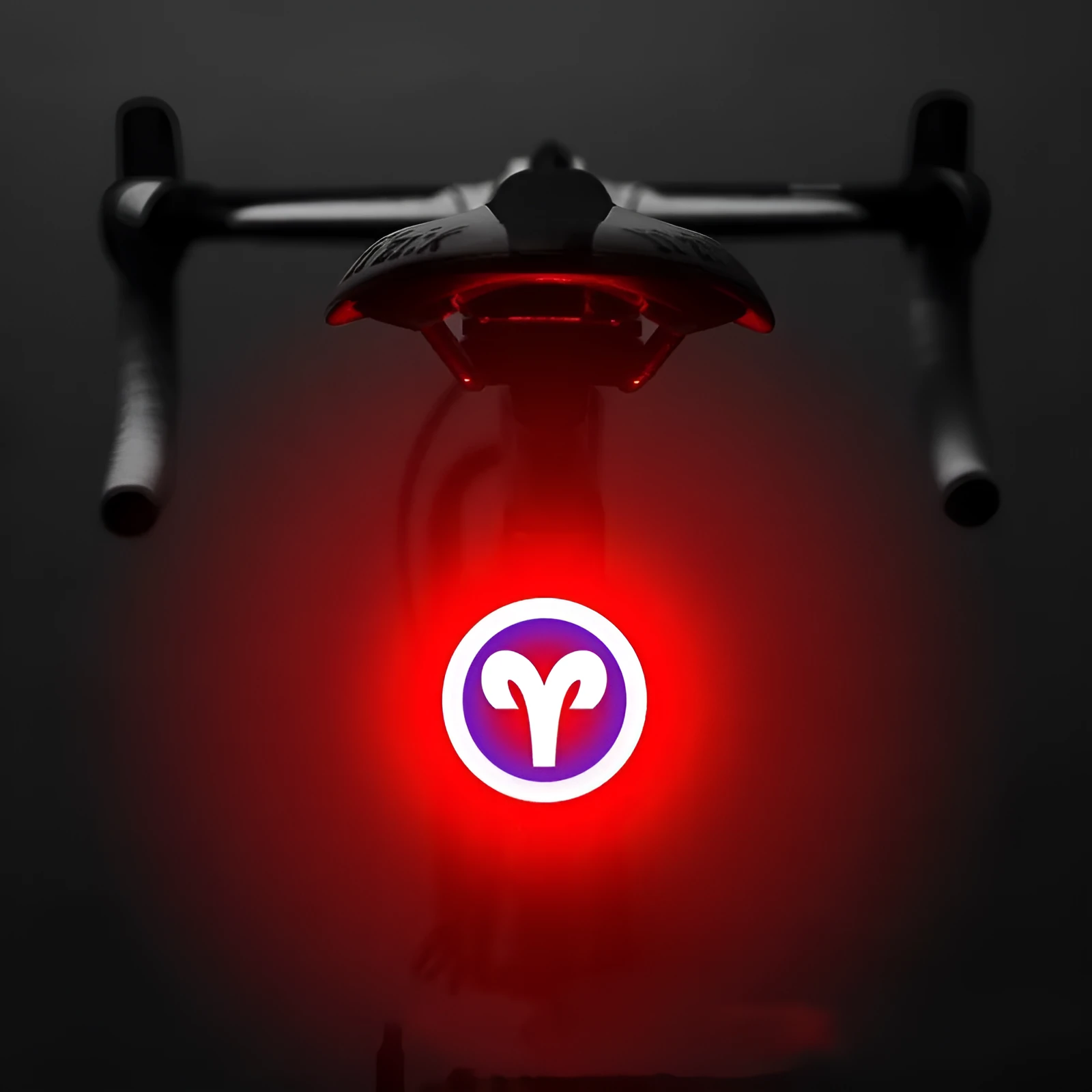 Bicycle intelligent auto brake sensor light with waterproof LED, rechargeable, zodiac streamlined style, PC engineering plastics
