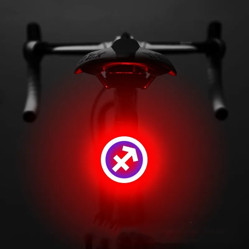 Bicycle intelligent auto brake sensor light with waterproof LED, rechargeable, zodiac streamlined style, PC engineering plastics