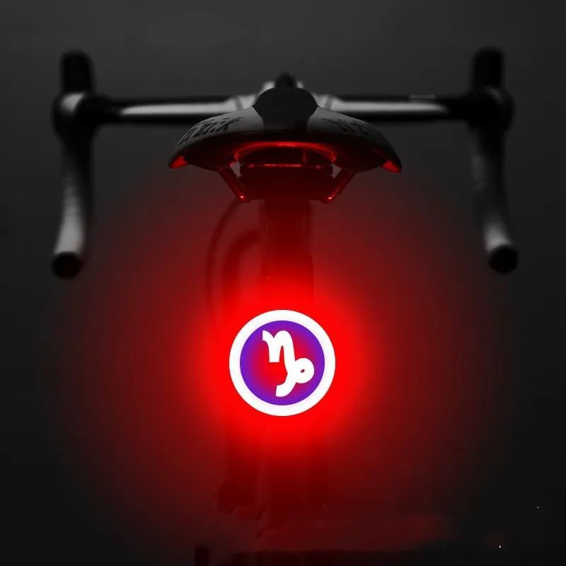 Bicycle intelligent auto brake sensor light with waterproof LED, rechargeable, zodiac streamlined style, PC engineering plastics