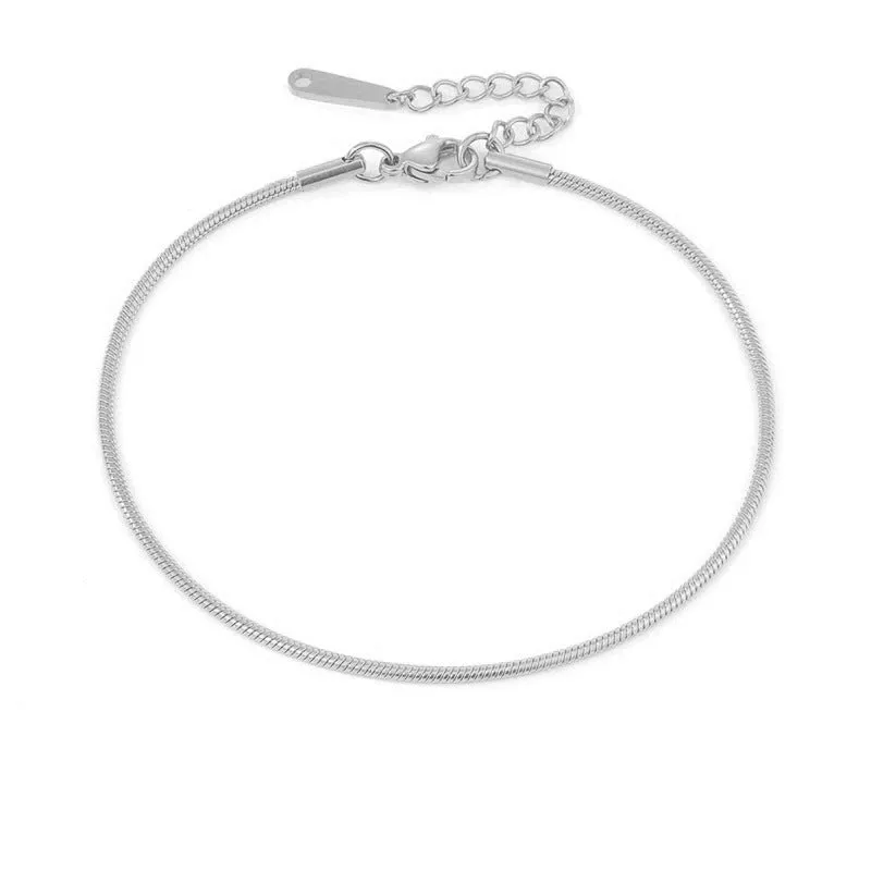 Stainless Steel Anklets Adjustable Snake Chain Anklet for Women 20cm+3cm Extension Chain Gold Rose Gold Steel Colour Fashionable Everyday Wear