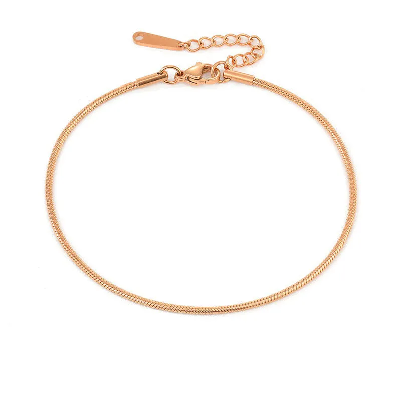 Stainless Steel Anklets Adjustable Snake Chain Anklet for Women 20cm+3cm Extension Chain Gold Rose Gold Steel Colour Fashionable Everyday Wear